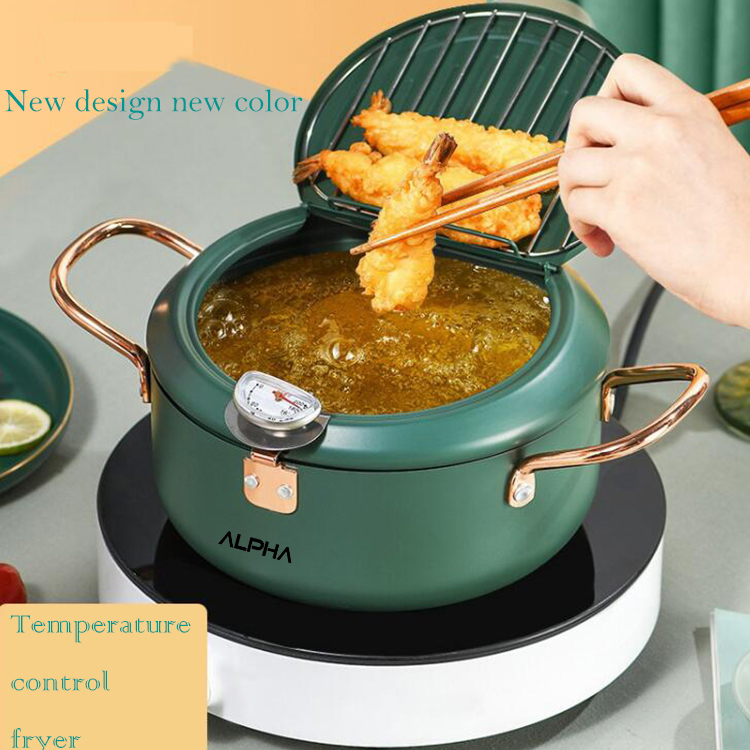 Fryer household mini deep induction cooker gas fryi